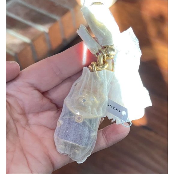 Disney X Coach Evil Queen Bear Bag Charm Key Chain Ring Fob CC345 NWT - Picture 3 of 5